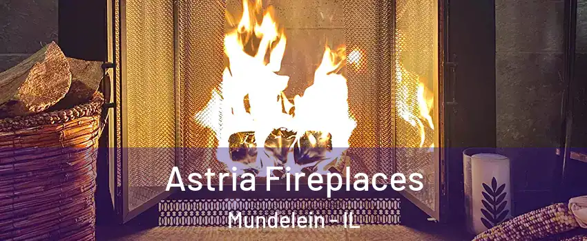  Astria Fireplaces Mundelein - IL