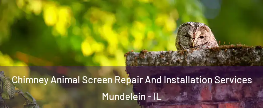  Chimney Animal Screen Repair And Installation Services Mundelein - IL