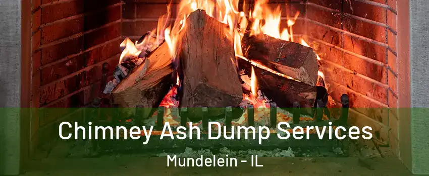  Chimney Ash Dump Services Mundelein - IL
