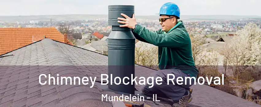  Chimney Blockage Removal Mundelein - IL