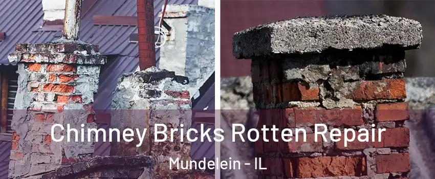  Chimney Bricks Rotten Repair Mundelein - IL