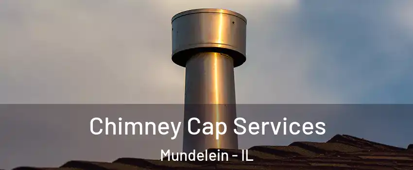  Chimney Cap Services Mundelein - IL