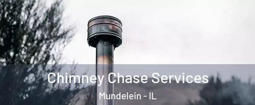  Chimney Chase Services Mundelein - IL