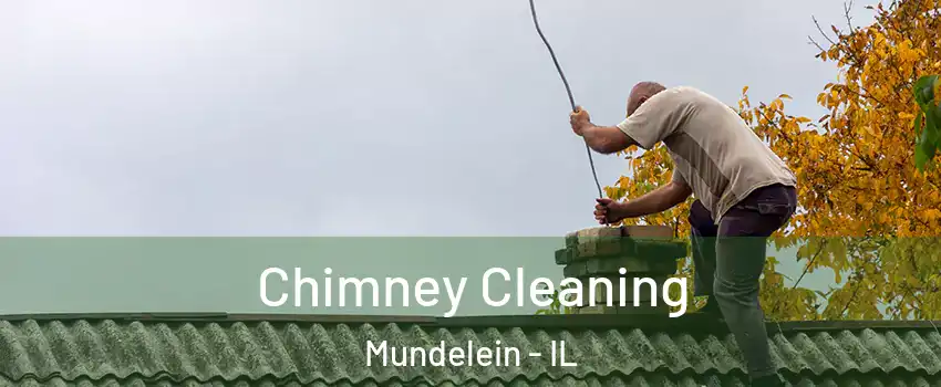  Chimney Cleaning Mundelein - IL