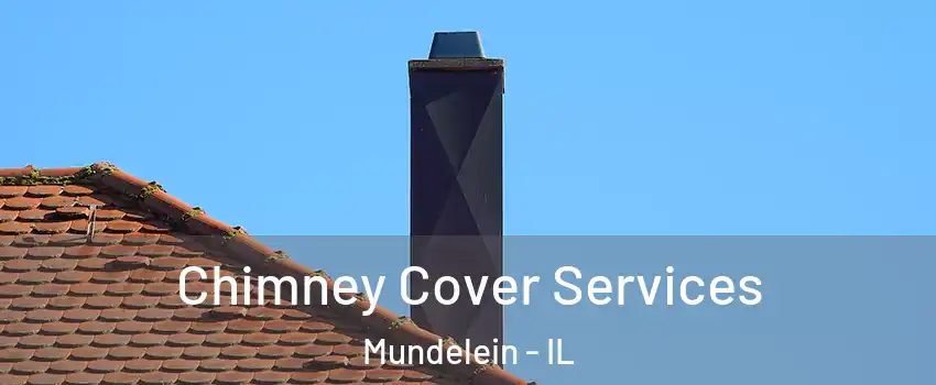  Chimney Cover Services Mundelein - IL