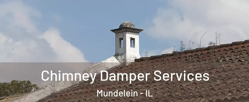 Chimney Damper Services Mundelein - IL