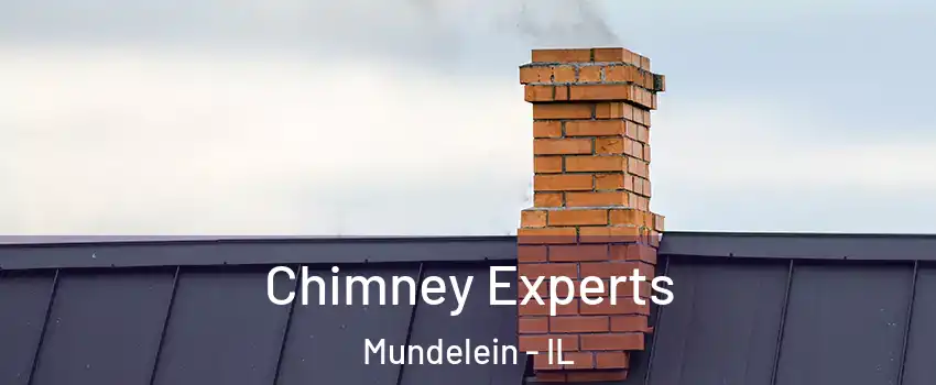 Chimney Experts Mundelein - IL