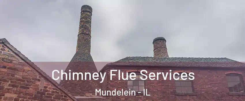  Chimney Flue Services Mundelein - IL