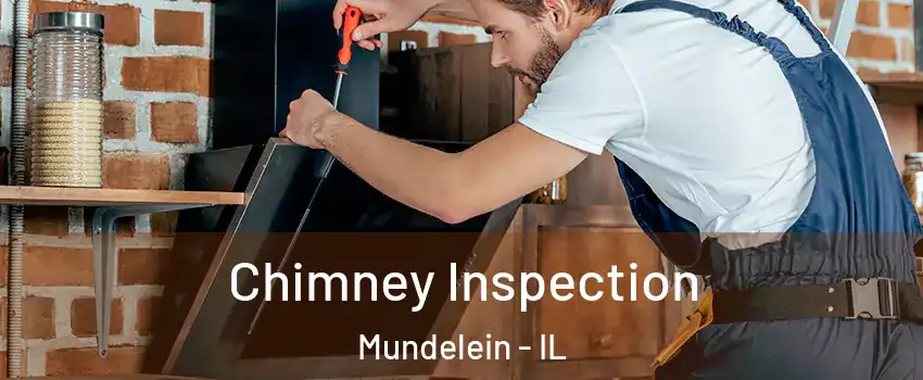  Chimney Inspection Mundelein - IL