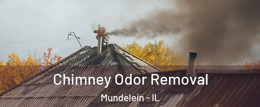  Chimney Odor Removal Mundelein - IL