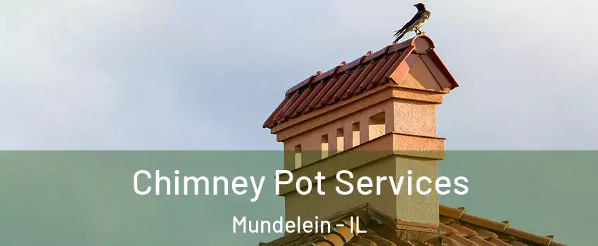  Chimney Pot Services Mundelein - IL