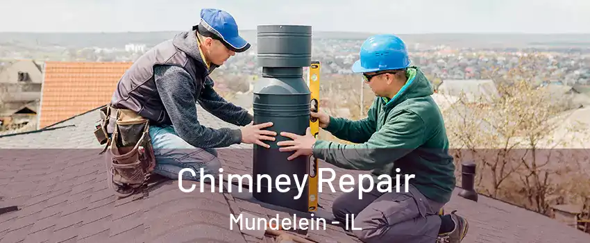  Chimney Repair Mundelein - IL