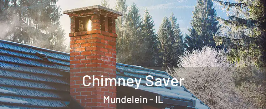  Chimney Saver Mundelein - IL
