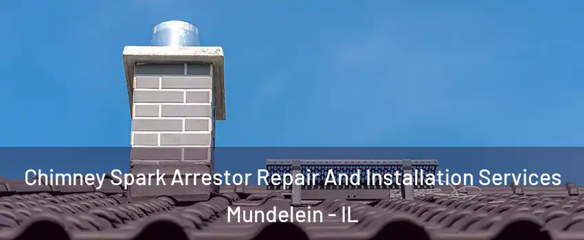 Chimney Spark Arrestor Repair And Installation Services Mundelein - IL
