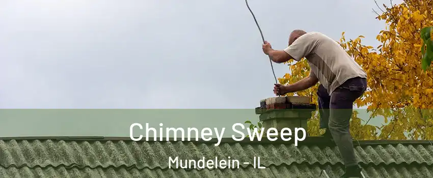  Chimney Sweep Mundelein - IL
