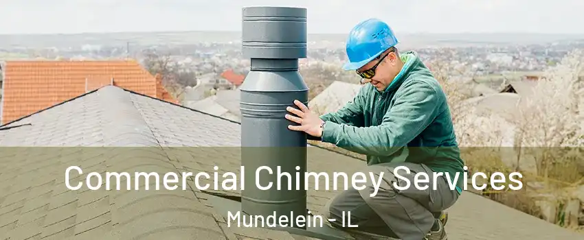  Commercial Chimney Services Mundelein - IL