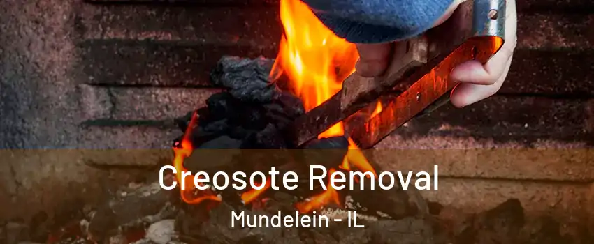  Creosote Removal Mundelein - IL