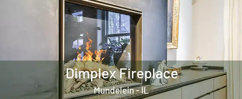  Dimplex Fireplace Mundelein - IL