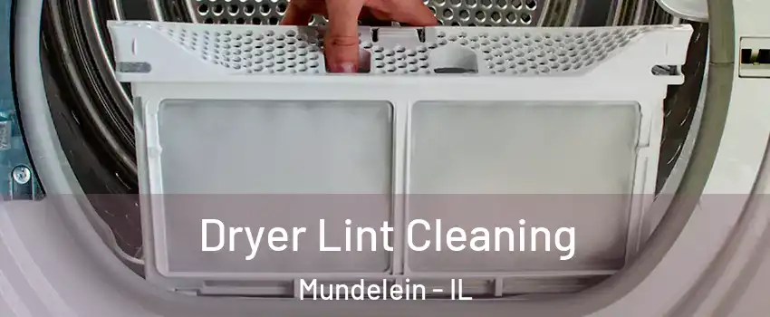  Dryer Lint Cleaning Mundelein - IL