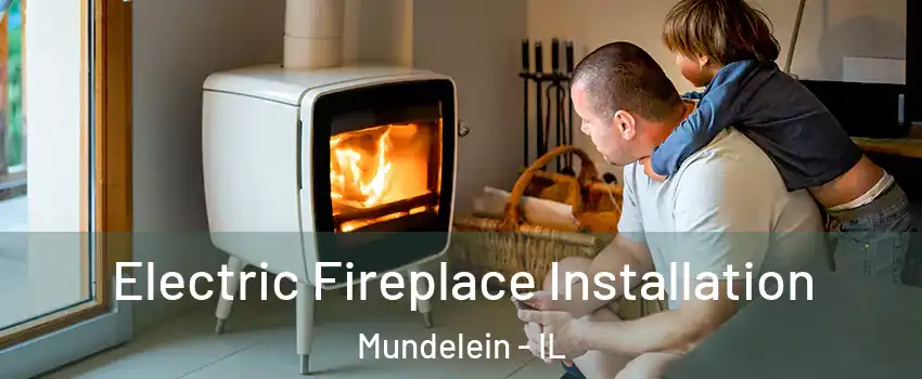  Electric Fireplace Installation Mundelein - IL