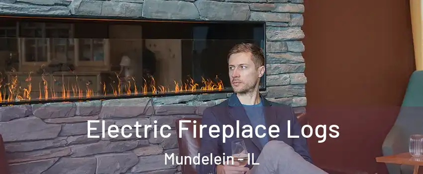  Electric Fireplace Logs Mundelein - IL