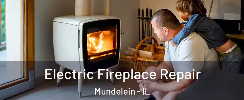  Electric Fireplace Repair Mundelein - IL