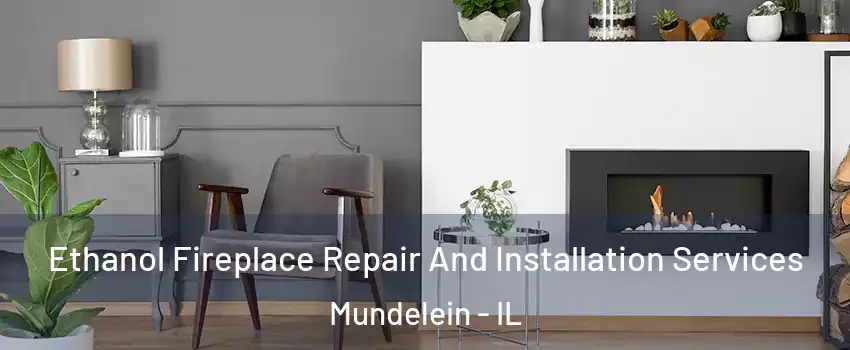  Ethanol Fireplace Repair And Installation Services Mundelein - IL