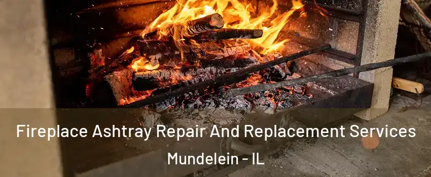  Fireplace Ashtray Repair And Replacement Services Mundelein - IL