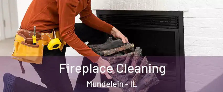  Fireplace Cleaning Mundelein - IL
