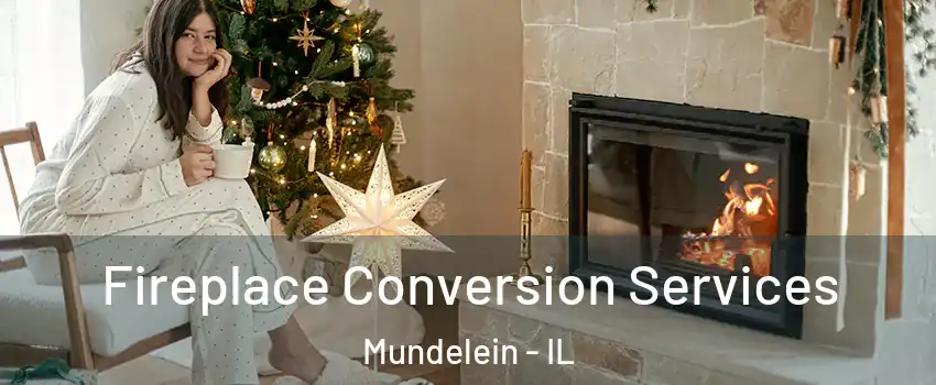  Fireplace Conversion Services Mundelein - IL