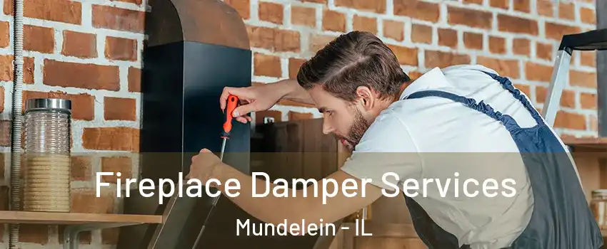  Fireplace Damper Services Mundelein - IL