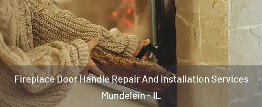  Fireplace Door Handle Repair And Installation Services Mundelein - IL
