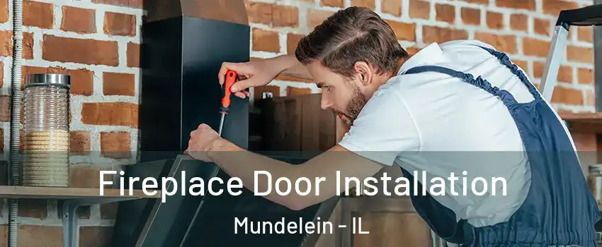  Fireplace Door Installation Mundelein - IL