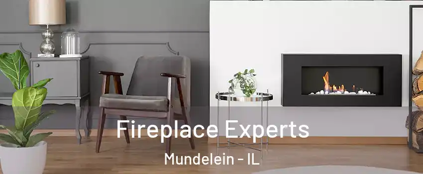  Fireplace Experts Mundelein - IL
