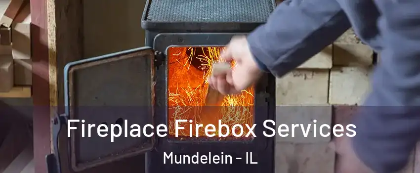  Fireplace Firebox Services Mundelein - IL