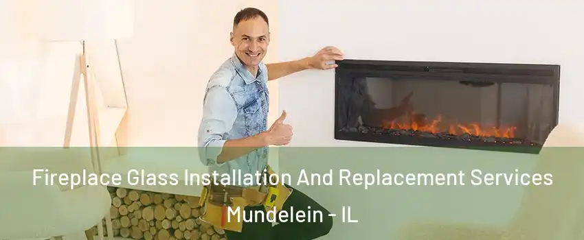  Fireplace Glass Installation And Replacement Services Mundelein - IL