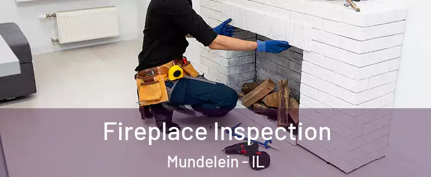  Fireplace Inspection Mundelein - IL
