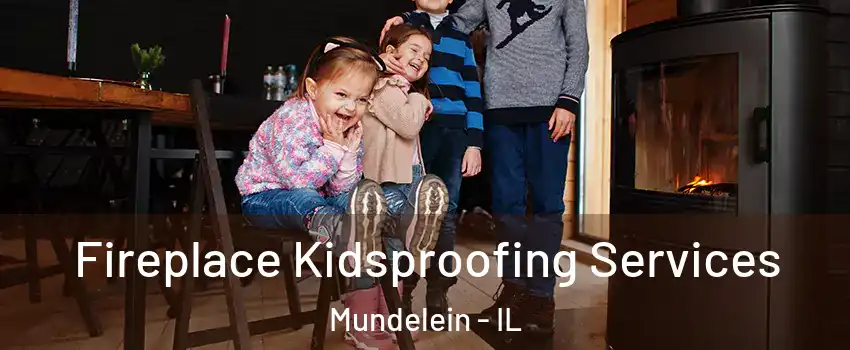  Fireplace Kidsproofing Services Mundelein - IL