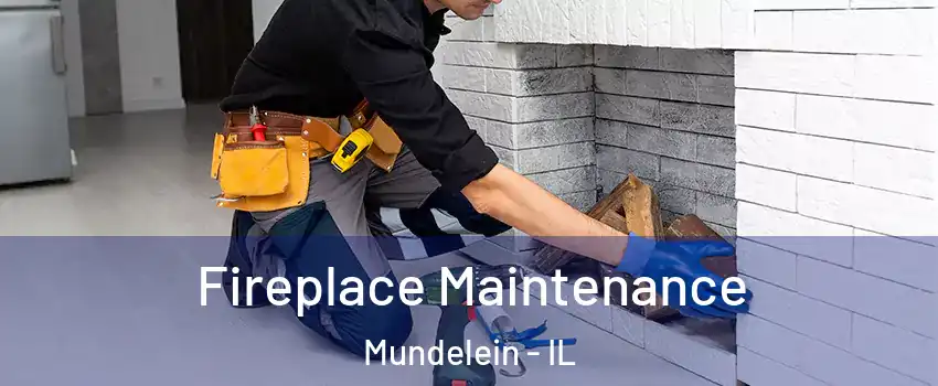  Fireplace Maintenance Mundelein - IL