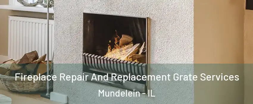  Fireplace Repair And Replacement Grate Services Mundelein - IL