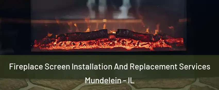  Fireplace Screen Installation And Replacement Services Mundelein - IL