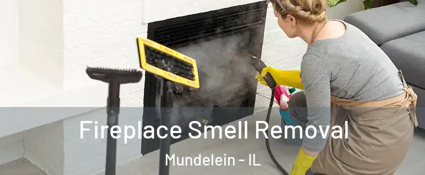  Fireplace Smell Removal Mundelein - IL