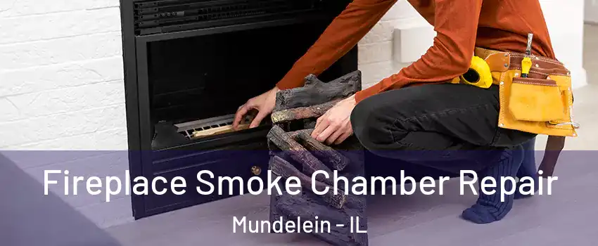  Fireplace Smoke Chamber Repair Mundelein - IL