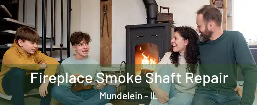  Fireplace Smoke Shaft Repair Mundelein - IL