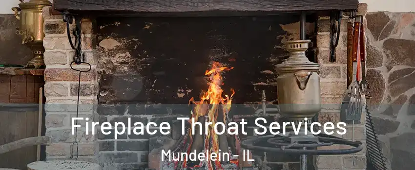  Fireplace Throat Services Mundelein - IL