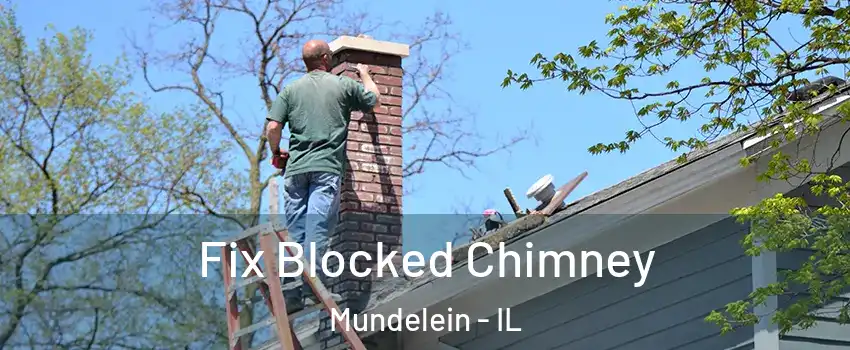 Fix Blocked Chimney Mundelein - IL