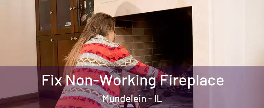  Fix Non-Working Fireplace Mundelein - IL