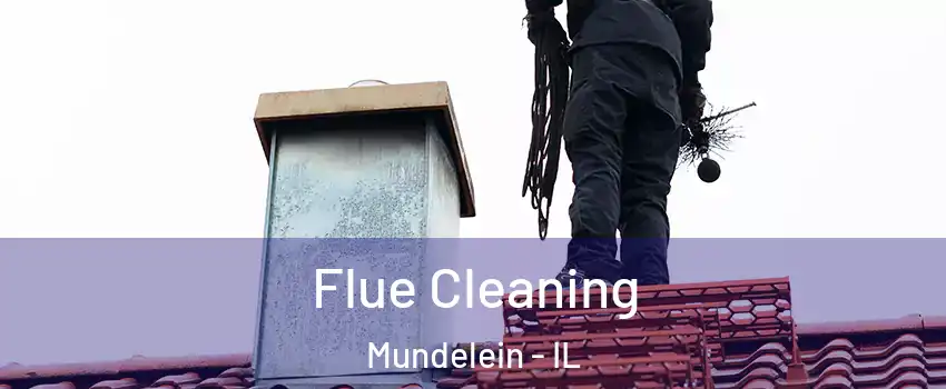  Flue Cleaning Mundelein - IL