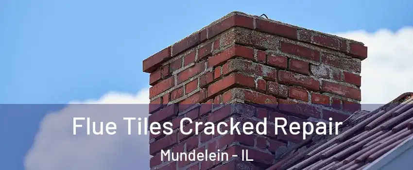  Flue Tiles Cracked Repair Mundelein - IL