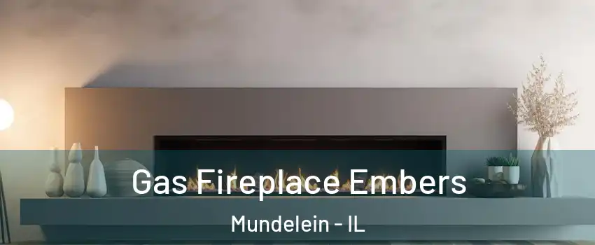  Gas Fireplace Embers Mundelein - IL